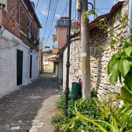 Private Apartment Elbasan Historic Center Luaran gambar