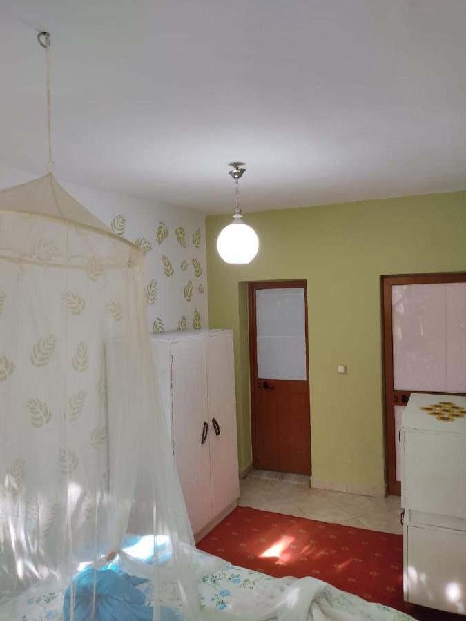 Private Apartment Elbasan Historic Center Luaran gambar