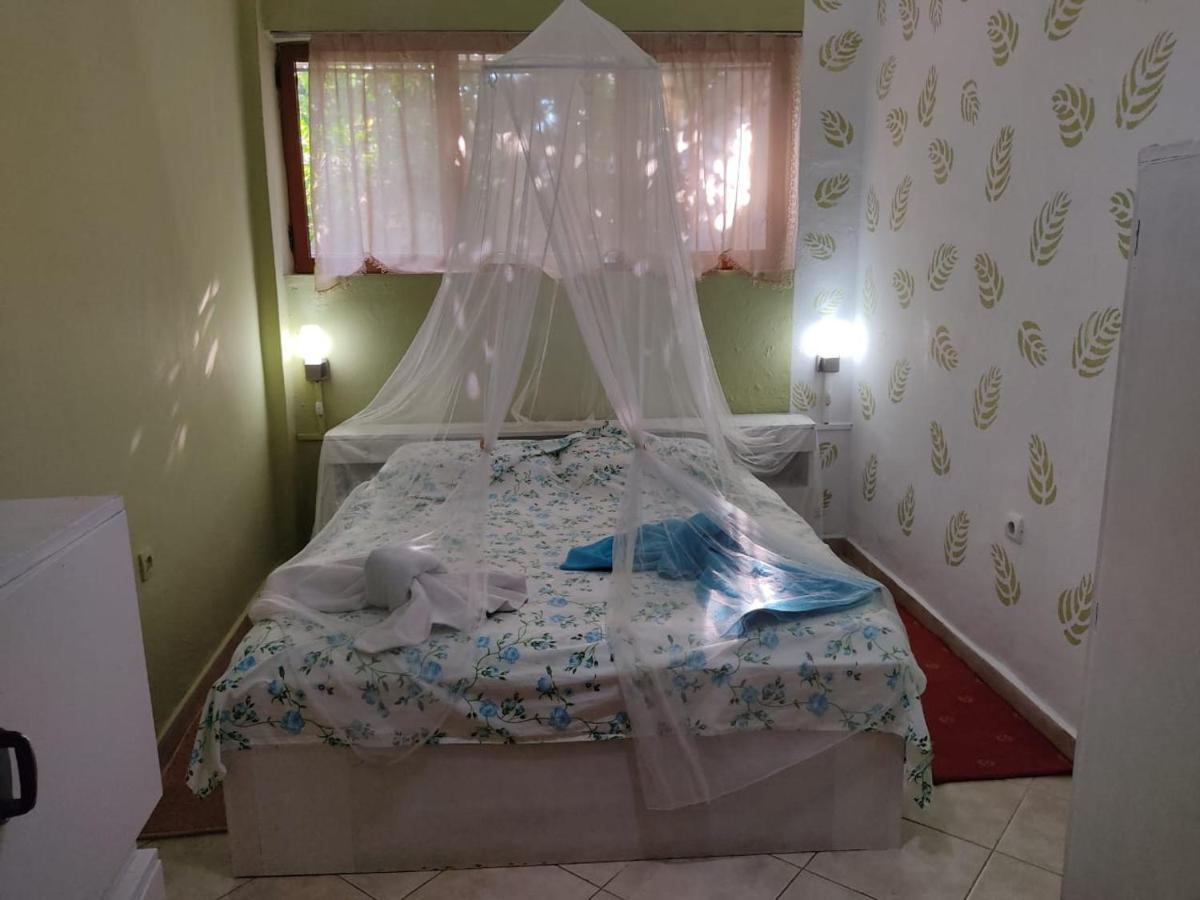 Private Apartment Elbasan Historic Center Luaran gambar