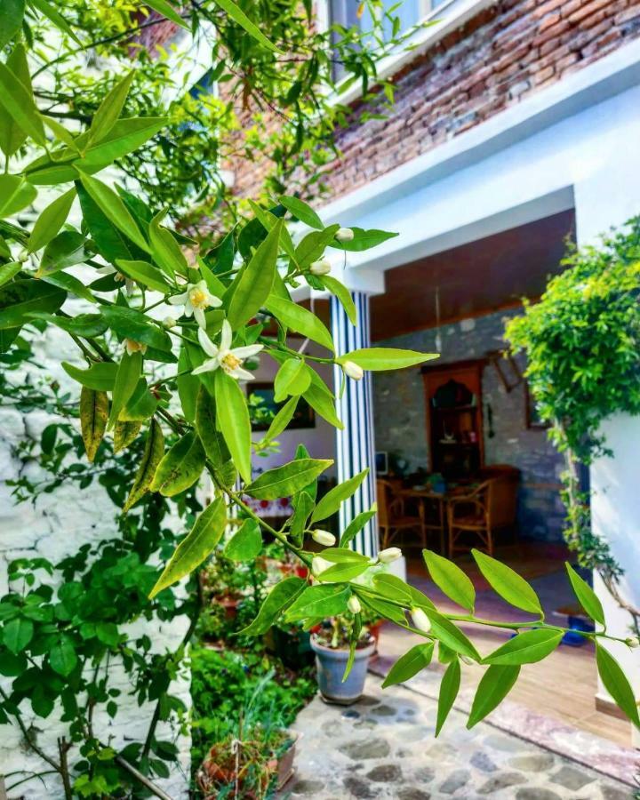 Private Apartment Elbasan Historic Center Luaran gambar